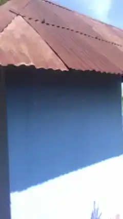 Arulmigu Sidhi Vinayagar Temple, Middle Street, Karivalam Vanthanallur - 627753 அருள்மிகு சித்தி விநாயகர் திருக்கோயில், Middle Street, Karivalam Vanthanallur - 627753, Tenkasi - Ancient Temple Architecture and History Image 2