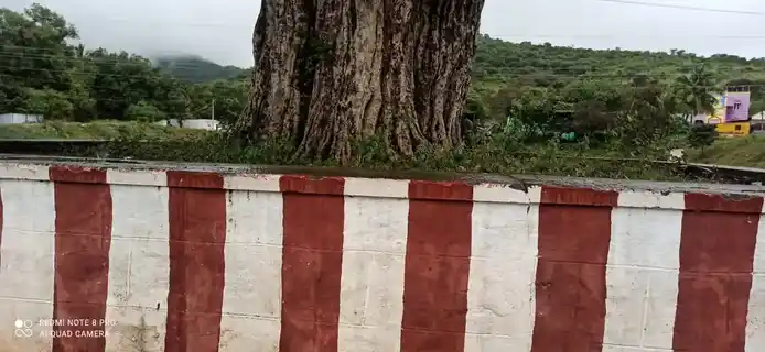 Arulmigu Sidhi Vinayagar Temple, Poolambatti - 621305 Arulmigu Sidhi vinayagar Temple, Poolambatti - 621305, Thiruchirappalli - Ancient Temple Architecture and History Image 3