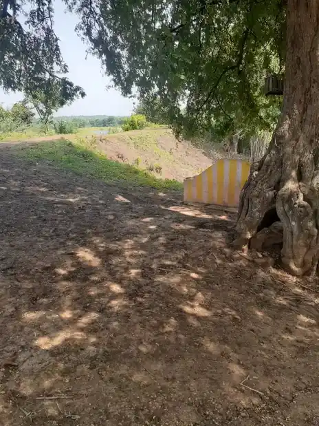 Arulmigu Sikkayan Goundan Kula Kannimaar Temple, Sikkayagoundankulam - 624706 அருள்மிகு சிட்டையகவுண்டன் குளம் கன்னிமார் திருக்கோயில், Sikkayagoundankulam - 624706, Dindigul - Ancient Temple Architecture and History Image 3