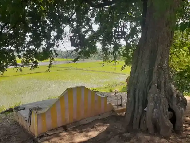 Arulmigu Sikkayan Goundan Kula Kannimaar Temple, Sikkayagoundankulam - 624706 அருள்மிகு சிட்டையகவுண்டன் குளம் கன்னிமார் திருக்கோயில், Sikkayagoundankulam - 624706, Dindigul - Ancient Temple Architecture and History Image 4