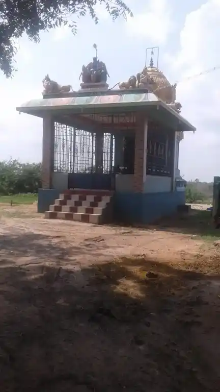 Arulmigu Silaiyudaiya Ayyanar Temple, Vakaikudi - 630311 அருள்மிகு. சிலையுடைய அய்யனார் திருக்கோயில், Vakaikudi - 630311, Sivagangai - Ancient Temple Architecture and History Image 2