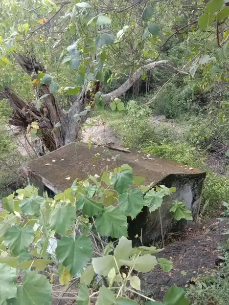 Arulmigu Simbhaluthu Kannimar Temple, Kannivadi - 624705 அருள்மிகு சீம்பாலூத்து கன்னிமார் திருக்கோயில், Kannivadi - 624705, Dindigul - Ancient Temple Architecture and History Image 2