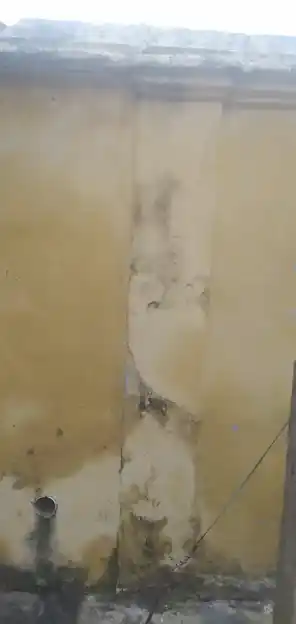 Arulmigu Singa Ratchaga Vinayagar Temple, Eranial - 629802 அருள்மிகு சிங்கராட்ச விநாயகர் திருக்கோயில், Eranial - 629802, Kanyakumari - Ancient Temple Architecture and History Image 2