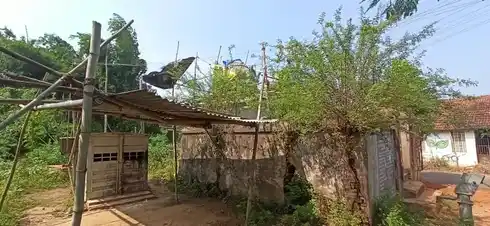 Arulmigu Singalanchery Pillaiyar Temple, Singalanchery - 610004 அருள்மிகு சிங்களாஞ்சேரி பிள்ளையார் திருக்கோயில், Singalanchery - 610004, Thiruvarur - Ancient Temple Architecture and History Image 4