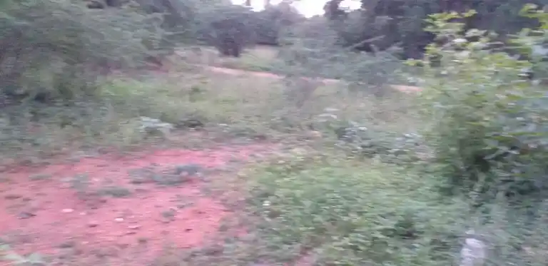 Arulmigu Singaperumal Temple, R.Kombai - 624706 அருள்மிகு சிங்கப்பெருமாள் திருக்கோயில், R.Kombai - 624706, Dindigul - Ancient Temple Architecture and History Image 3