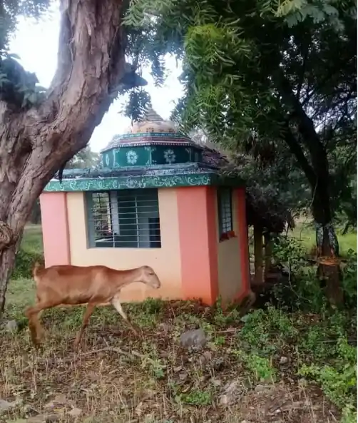 Arulmigu Sinna Ariyanachiyamman Temple, Ulagampatti, Ulagampatti - 630410 அருள்மிகு சின்னஅரியநாச்சியம்மன் திருக்கோயில், Ulagampatti, Ulagampatti - 630410, Sivagangai - Ancient Temple Architecture and History Image 2