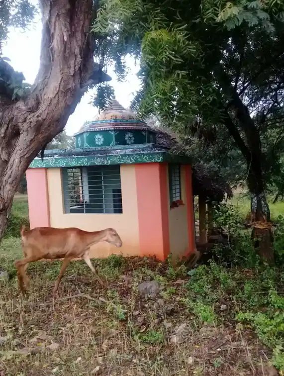 Arulmigu Sinna Ariyanachiyamman Temple, Ulagampatti, Ulagampatti - 630410 அருள்மிகு சின்னஅரியநாச்சியம்மன் திருக்கோயில், Ulagampatti, Ulagampatti - 630410, Sivagangai - Ancient Temple Architecture and History Image 4