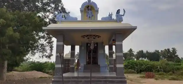 Arulmigu Sinnamman Temple, Punjaikalakuruchi - 639201