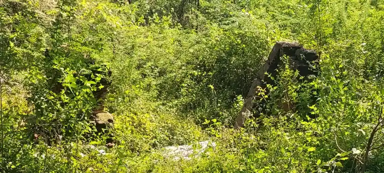 Arulmigu Sinnasami Mautt Udanurai Pazhaniswamy Mutt, Kappalur - 606803 அருள்மிகு சின்னசாமி மடம், Kappalur - 606803, Tiruvannamalai - Ancient Temple Architecture and History Image 2