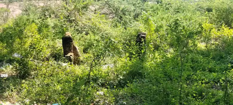 Arulmigu Sinnasami Mautt Udanurai Pazhaniswamy Mutt, Kappalur - 606803 அருள்மிகு சின்னசாமி மடம், Kappalur - 606803, Tiruvannamalai - Ancient Temple Architecture and History Image 3