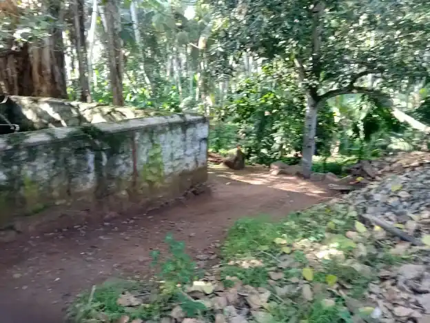 Arulmigu Sirakarai Kandan Sasthatemple, Irumpili - 629251