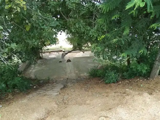 Arulmigu Sirumadaikaruppar Temple, Purakarai Nathampannai - 622005