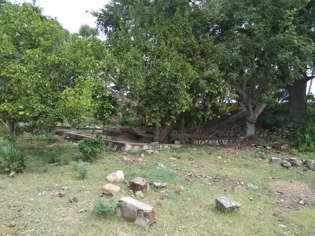 Arulmigu Sirumadaikaruppar Temple, Purakarai Nathampannai - 622005 அருள்மிகு சிறுமடைக்கருப்பர் திருக்கோயில், Purakarai Nathampannai, புறகரைநத்தம்பண்ணை - 622005, Pudukkottai - Ancient Temple Architecture and History Image 3