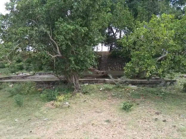 Arulmigu Sirumadaikaruppar Temple, Purakarai Nathampannai - 622005 அருள்மிகு சிறுமடைக்கருப்பர் திருக்கோயில், Purakarai Nathampannai, புறகரைநத்தம்பண்ணை - 622005, Pudukkottai - Ancient Temple Architecture and History Image 4