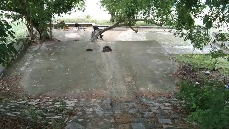 Arulmigu Sirumadaikaruppar Temple, Purakarai Nathampannai - 622005 அருள்மிகு சிறுமடைக்கருப்பர் திருக்கோயில், Purakarai Nathampannai, புறகரைநத்தம்பண்ணை - 622005, Pudukkottai - Ancient Temple Architecture and History Image 5