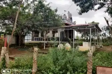 Arulmigu Sithanatha Samy Temple, Karisalpatti - 630410 அருள்மிகு சித்தநாதசாமி திருக்கோயில், Karisalpatti - 630410, Sivagangai - Ancient Temple Architecture and History Image 3