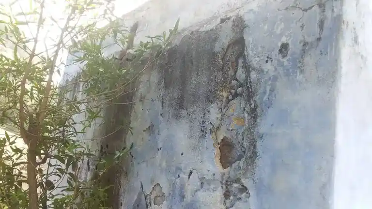 Arulmigu Sithi Vinayagar (A) Dhandawarayar Annachatram Temple, Kalugumalai - 628952