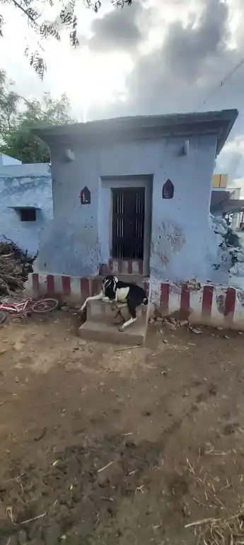 Arulmigu Sithi Vinayagar Temple, Iluppaiyurani - 628503 அருள்மிகு சித்தி விநாயகர் திருக்கோயில், Iluppaiyurani - 628503, Thoothukudi - Ancient Temple Architecture and History Image 5