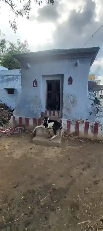 Arulmigu Sithi Vinayagar Temple, Iluppaiyurani - 628503 அருள்மிகு சித்தி விநாயகர் திருக்கோயில், Iluppaiyurani - 628503, Thoothukudi - Ancient Temple Architecture and History Image 6