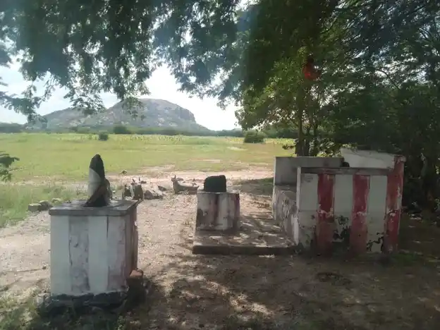 Arulmigu Sithi Vinayagar Temple, Jeyankondanilai, Jeyankondanilai - 630561 அருள்மிகு. சித்தி விநாயகர் திருக்கோயில், Jeyankondanilai, Jeyankondanilai - 630561, Sivagangai - Ancient Temple Architecture and History Image 3