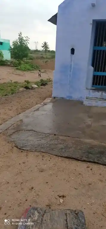 Arulmigu Sithi Vinayagar Temple, Kalappaipatti - 628714 அருள்மிகு சித்தி விநாயகர் திருக்கோயில், Kalappaipatti - 628714, Thoothukudi - Ancient Temple Architecture and History Image 3