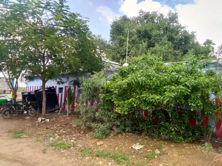 Arulmigu Sithi Vinayagar Temple, Kattunayakkanpatti - 628401 அருள்மிகு சித்தி விநாயகர் திருக்கோயில், Kattunayakkanpatti - 628401, Thoothukudi - Ancient Temple Architecture and History Image 2