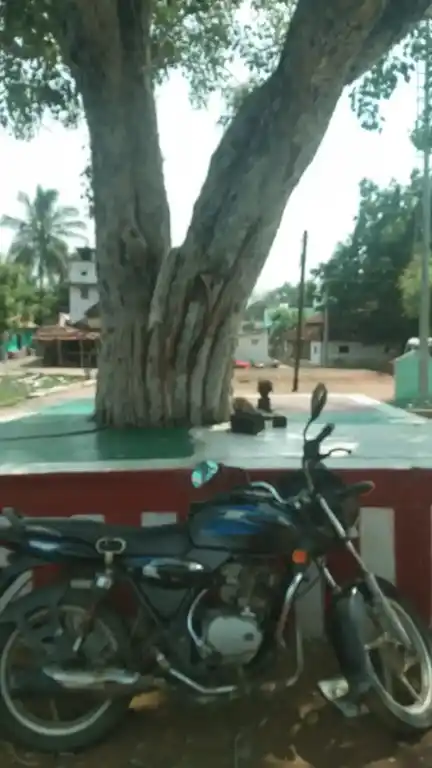 Arulmigu Sithi Vinayagar Temple, Padamathur - 630561 அருள்மிகு. சித்திவிநாயகர் திருக்கோயில், Padamathur - 630561, Sivagangai - Ancient Temple Architecture and History Image 2