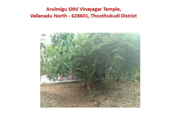 Arulmigu Sithi Vinayagar Temple, Vallanadu North - 628601 அருள்மிகு சித்தி விநாயகர் திருக்கோயில், Vallanadu North - 628601, Thoothukudi - Ancient Temple Architecture and History Image 3