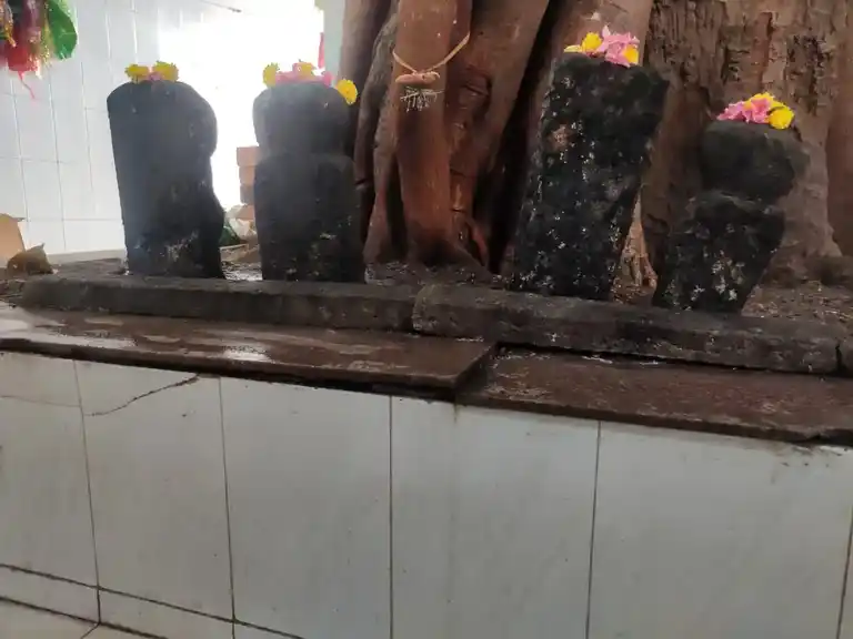 Arulmigu Sithi Vinayakar Temple, R.S.Puram, Coimbatore - 641002 அருள்மிகு சித்திவிநாயகர் திருக்கோயில், ஆர் .எஸ .புறம், கோவை - 641002, Coimbatore - Ancient Temple Architecture and History Image 5