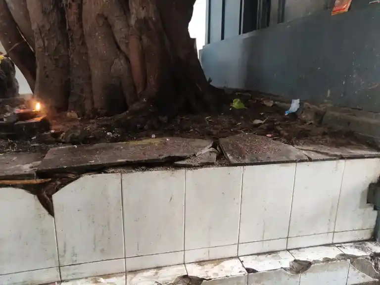 Arulmigu Sithi Vinayakar Temple, R.S.Puram, Coimbatore - 641002 அருள்மிகு சித்திவிநாயகர் திருக்கோயில், ஆர் .எஸ .புறம், கோவை - 641002, Coimbatore - Ancient Temple Architecture and History Image 6