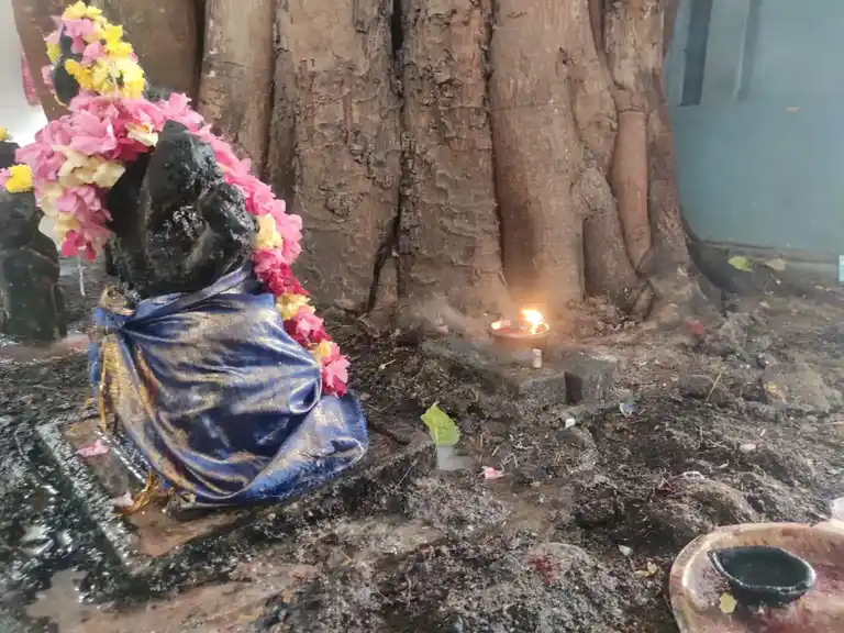 Arulmigu Sithi Vinayakar Temple, R.S.Puram, Coimbatore - 641002 அருள்மிகு சித்திவிநாயகர் திருக்கோயில், ஆர் .எஸ .புறம், கோவை - 641002, Coimbatore - Ancient Temple Architecture and History Image 7