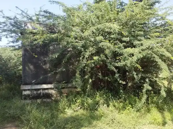 Arulmigu Sithivinayagar Temple, Edaichiyoorani - 626607 அருள்மிகு சித்தி விநாயாக் திருக்கோயில், Edaichiyoorani - 626607, Virudhunagar - Ancient Temple Architecture and History Image 3