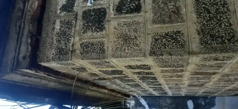 Arulmigu Sithivinayagar Temple, Mannadimangalam - 625205 அருள்மிகு சித்திவிநாயகர் திருக்கோயில், Mannadimangalam - 625205, Madurai - Ancient Temple Architecture and History Image 2