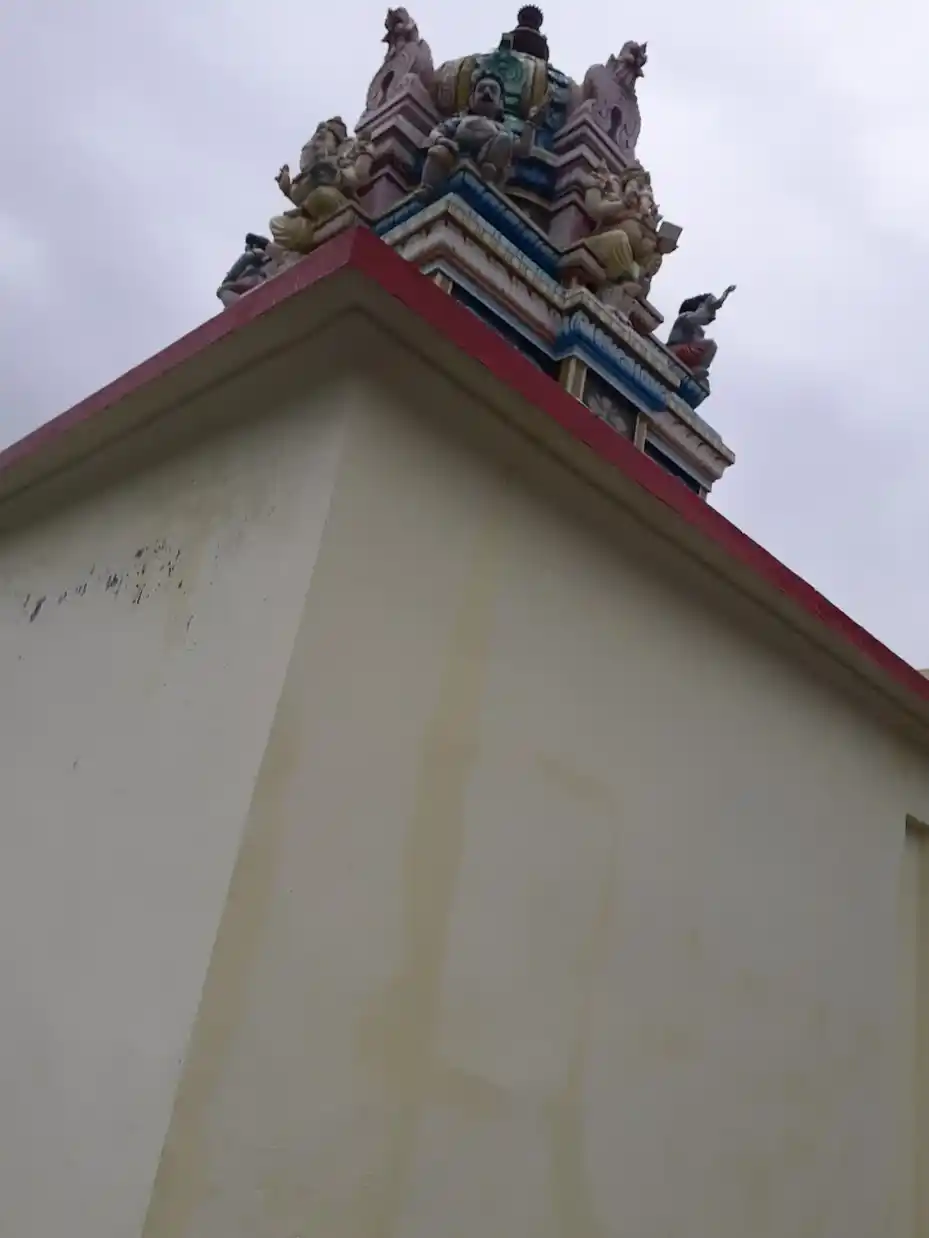 Arulmigu Sithivinayagar Temple, Near Mounasamy Madam, Kasimajerpuram - 627802 அருள்மிகு சித்திவிநாயகர் திருக்கோயில், மௌன சாமி மடத்தின் அருகில், Kasimajerpuram - 627802, Tenkasi - Ancient Temple Architecture and History Image 4