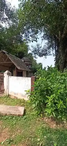 Arulmigu Sithivinayagar Temple, Thenkarai - 610109 அருள்மிகு சித்திவிநாயகர் திருக்கோயில், Thenkarai - 610109, Thiruvarur - Ancient Temple Architecture and History Image 2