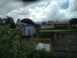 Arulmigu Siththi Vinayagar Temple, Kottakulam - 627805 அருள்மிகு சித்தி விநாயகர் திருக்கோயில், Kottakulam - 627805, Tenkasi - Ancient Temple Architecture and History Image 4