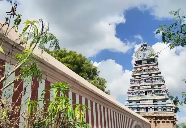 Arulmigu Sivagurunathar Temple, Kumbakonam, Sivapuram - 612401 அருள்மிகு சிவகுருநாதசுவாமி திருக்கோயில், கும்பகோணம், சிவபுரம் - 612401, Thanjavur - Ancient Temple Architecture and History Image 7