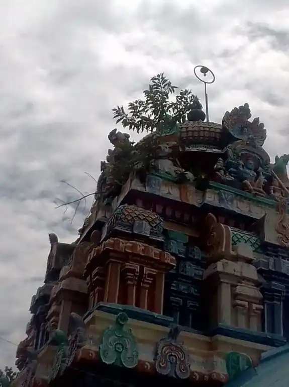 Arulmigu Sivaloganadhasamy Temple, Kollimalai Keezhpathi - 608303 அருள்மிகு சிவலோகநாதசாமி திருக்கோயில், கொல்லிமலை கீழ்பாதி - 608303, Cuddalore - Ancient Temple Architecture and History Image 4