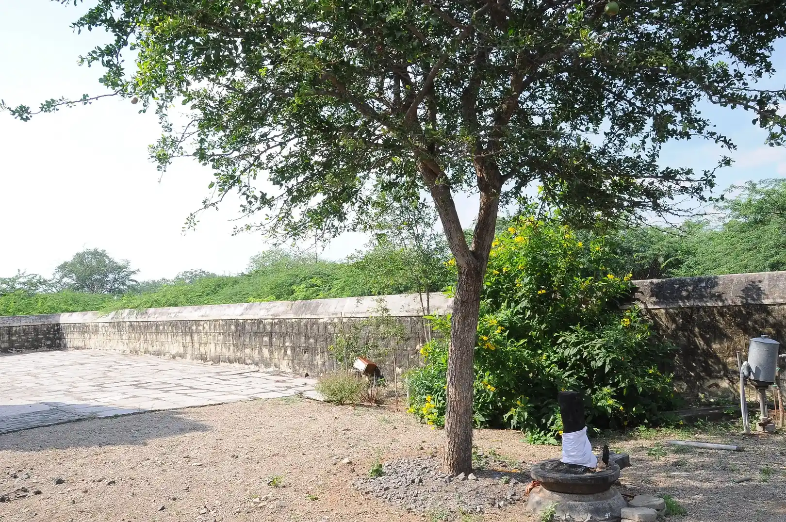 Arulmigu Sivaloganatha Swamy Temple, Siruganur - 621105 அருள்மிகு சிவலோகநாத சுவாமி திருக்கோயில், Siruganur - 621105, Thiruchirappalli - Ancient Temple Architecture and History Image 3