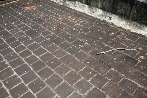 Arulmigu Sivaloganathaswamy Temple, Thirupunkur - 609112 அருள்மிகு சிவலோகநாதசுவாமி திருக்கோயில், Thirupunkur - 609112, Mayiladuthurai - Ancient Temple Architecture and History Image 9