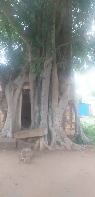 Arulmigu Sivan And Perumal Temple, Emakalapuram - 624304 அருள்மிகு சிவன் மற்றும் பெருமாள் திருக்கோயில், Emakalapuram - 624304, Dindigul - Ancient Temple Architecture and History Image 3