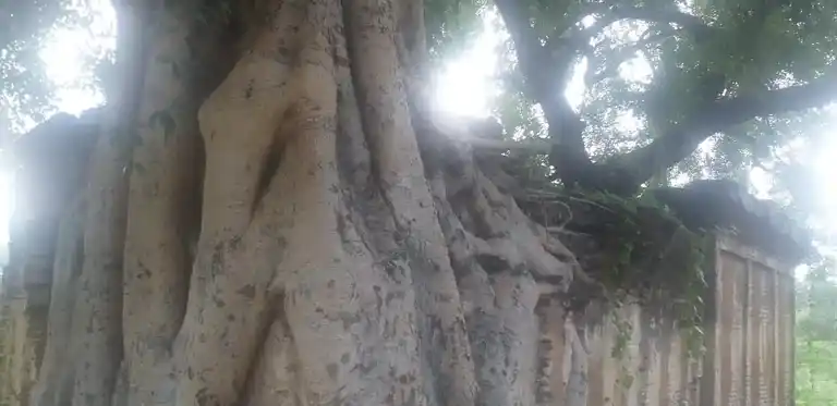 Arulmigu Sivan And Perumal Temple, Emakalapuram - 624304 அருள்மிகு சிவன் மற்றும் பெருமாள் திருக்கோயில், Emakalapuram - 624304, Dindigul - Ancient Temple Architecture and History Image 5