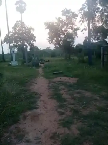 Arulmigu Sivan Temple, Alavakottai - 630553 அருள்மிகு சிவன் திருக்கோயில், Alavakottai - 630553, Sivagangai - Ancient Temple Architecture and History Image 4