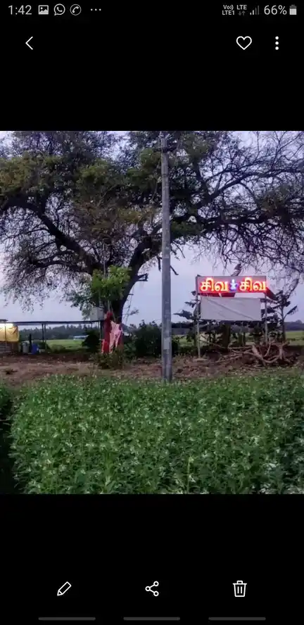Arulmigu Sivan Temple, Malavanoor - 621005 Temple