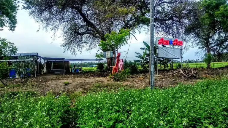 Arulmigu Sivan Temple, Malavanoor - 621005 Arulmigu Sivan Temple, Malavanoor - 621005, Thiruchirappalli - Ancient Temple Architecture and History Image 2