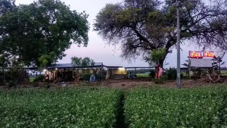 Arulmigu Sivan Temple, Malavanoor - 621005 Arulmigu Sivan Temple, Malavanoor - 621005, Thiruchirappalli - Ancient Temple Architecture and History Image 3