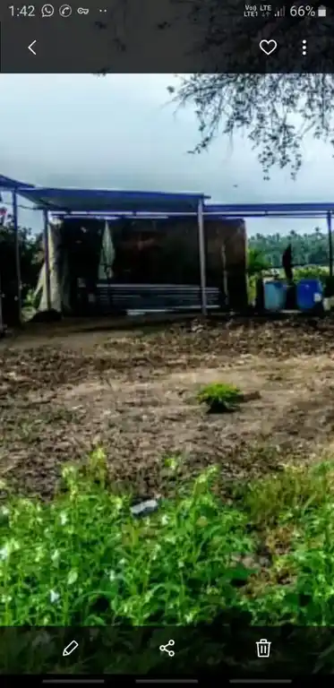 Arulmigu Sivan Temple, Malavanoor - 621005 Arulmigu Sivan Temple, Malavanoor - 621005, Thiruchirappalli - Ancient Temple Architecture and History Image 4