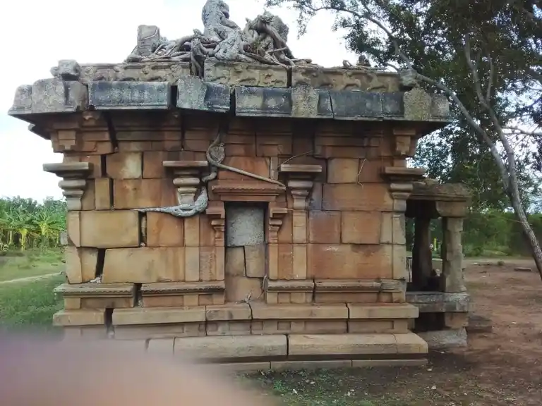 Arulmigu Sivan Temple, Sathanur - 622402 அருள்மிகு சிவன்கோயில் சாத்தனூர், பொன்னமராவதி வட்டம், புதுக்கோட்டை மாவட்டம். கோயில், Sathanur - 622402, Pudukkottai - Ancient Temple Architecture and History Image 6