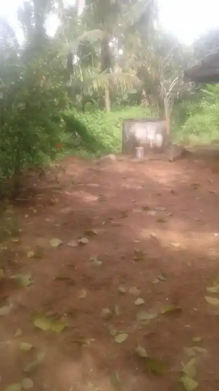 Arulmigu Sivan Temple, Thippiramalai, Paloor - 629177 Temple