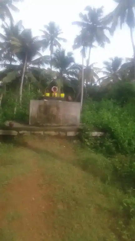 Arulmigu Sivan Temple, Thippiramalai, Paloor - 629177 Arulmigu Sivan Temple, Thippiramalai, பலூர் - 629177, Kanyakumari - Ancient Temple Architecture and History Image 2